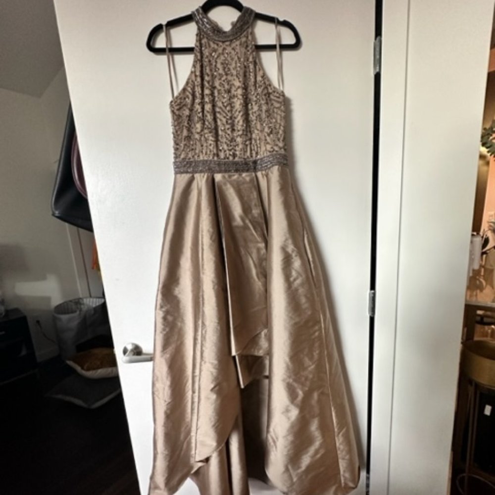 Adrianna Papell Gown